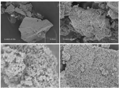 Figure V- 10: Images par Microscope Électronique à Balayage (MEB) à différent  agrandissement de Bi-Zn-TiO 2  calciné à 700°C