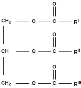 Figure 05: Représentation d'un triglycéride ( Wémeau , 2014). 