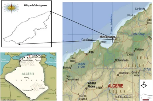 Figure 22 : Localisation de la zone d’étude ; la Wilaya de Mostaganem (Megherbi., 2015)   2.1.2 Caractéristiques hydrologiques et hydrodynamiques :  