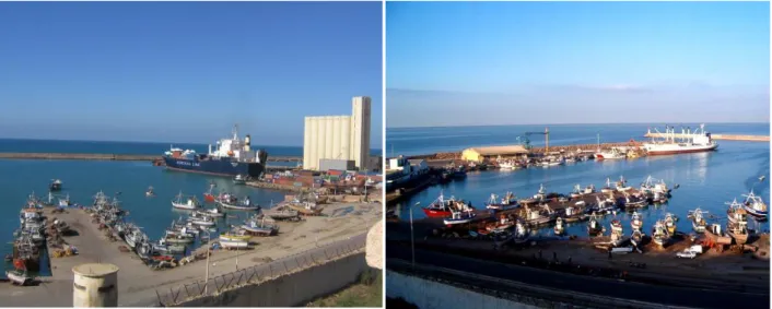 Figure 2. Port mixte de Mostaganem (Benchenina, 2016)      II.3.2. Port de Sidi Lakhdar : 