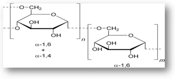 Figure 01 : la structure chimique du dextrane ( Anne, 2005)  