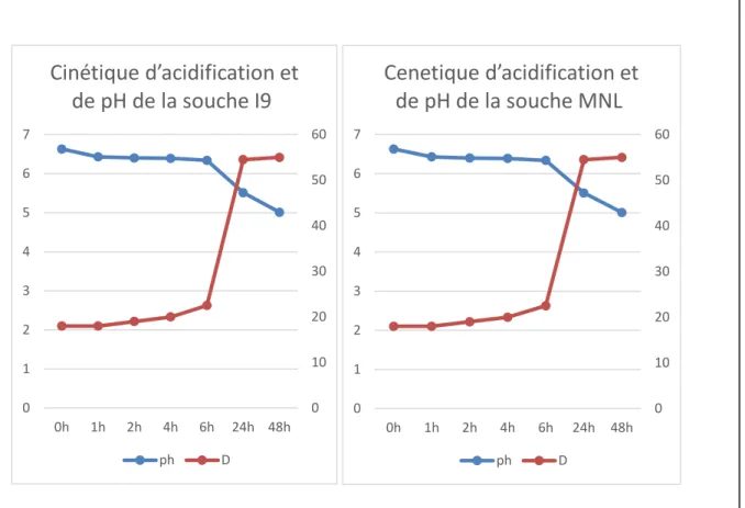 Figure n°07 : cinétique d’acidification et                Figure n°08 : cinétique d’acidification  de pH de la souche I9                         et de pH de la souche MNL 