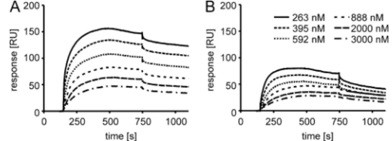 FIGURE 7.Cytoplasmic import of hLF is HS proteoglycan-dependent and negatively affected by rottlerin.