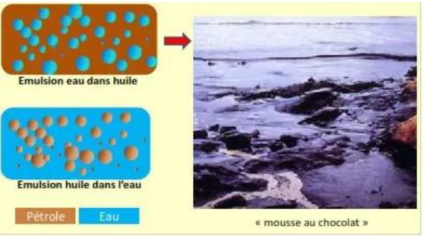 Figure 03: Les émulsions formées par le pétrole dans l’eau de mer (Rouidi, 2014) 