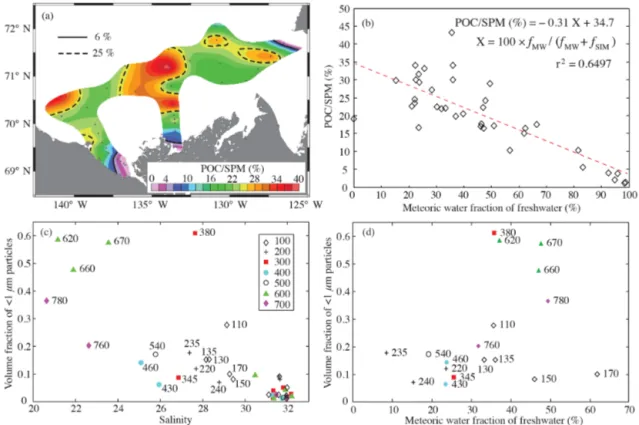 Figure 5. (a) POC-to-SPM ratio for surface samples within the study area, (b) relationship between POC-to-SPM ratio and meteoric water fraction of freshwater in surface waters (see Fig