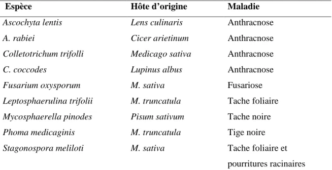 Tableau 11:  Les  champignons donnant des réponses différentielles sur des populations de  Medicago truncatula