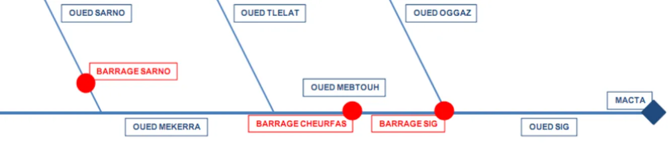 Figure n° 05 : Schéma du Réseau hydrographique du sous bassin versant de l’oued El- El-Hammam