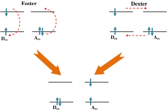 Figure 7. Diffusion des excitons, par le mécanisme de Förster (à gauche) et par le  mécanisme de Dexter (à droite)