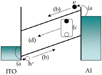 Figure 8. Schéma des principaux processus physiques régissant le  fonctionnement d'une OLED [1]
