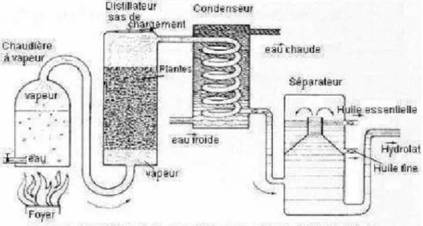 Fig. 10 – Montage d’extraction par entrainement à la vapeur (Duval, 2012) 