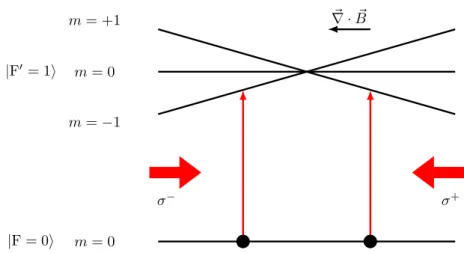 Figure I.1.2: Schematic diagram of a MOT. The magnetic gradient generates a Zeeman split- split-ting of the | F ′ = 1 i state