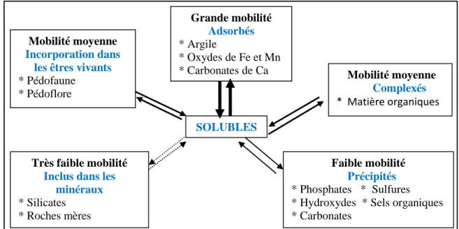 Figure 4.  Mobilité des métaux dans le sol (Juste et al., 1995)  Grande mobilité 