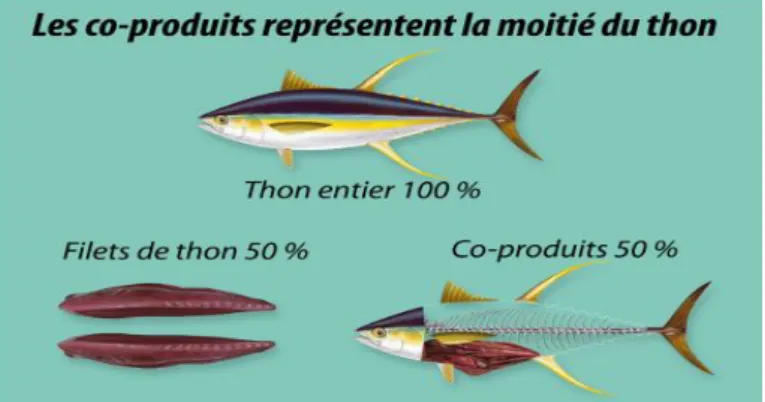 Figure 04: Produits principaux et co-produits provenant de la filière de transformation du thon 