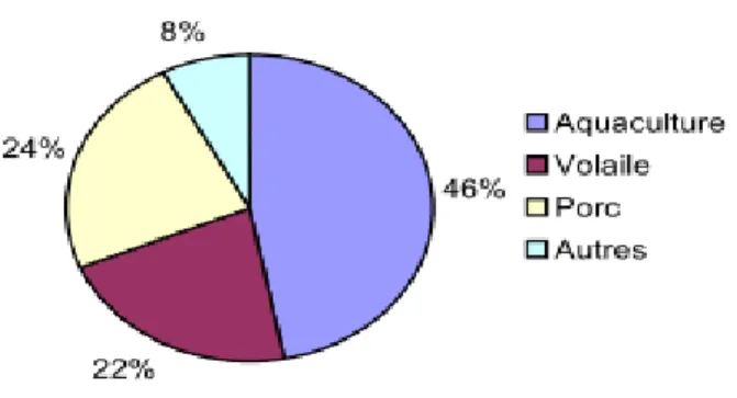Figure 07 : L’utilisation mondiale de farine  (Schippe, 2008) 