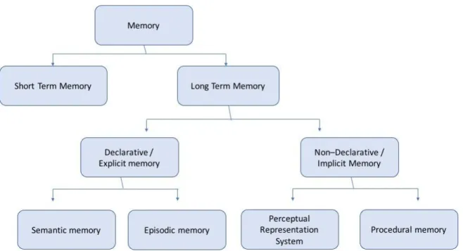 Figure  6: Classification of the different  memory  systems into short and long term storage systems