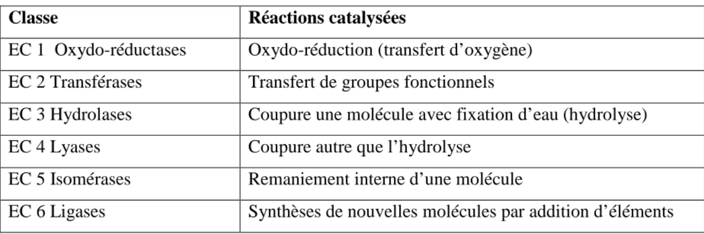 Tableau 3: Différentes classes d’enzyme (Pierre Feillet., 2000). 