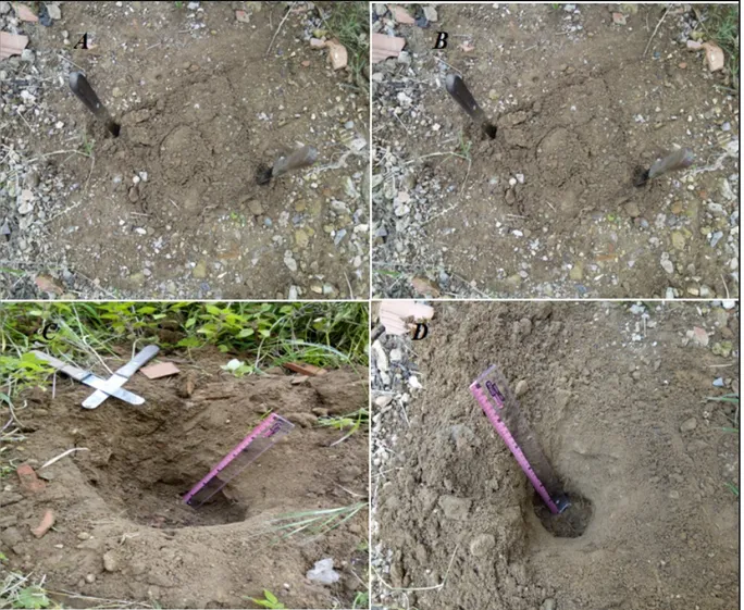 Fig. 5 : Les prélèvements des échantillons de sol de la région de la wilaya de Mostaganem