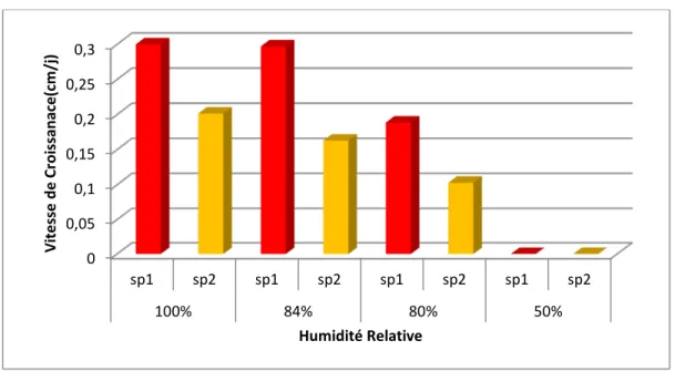 Figure 22 : Influence de l’humidité sur la vitesse de croissance (cm/j) des deux isolats de  Fusarium sp 