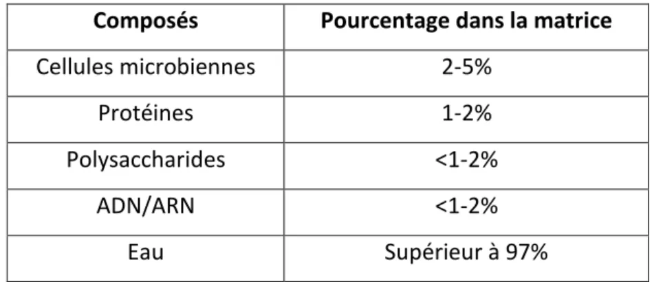 Tableau III . Co positio  d’u   iofil   a t ie  (Muhsin et al., 2015). 