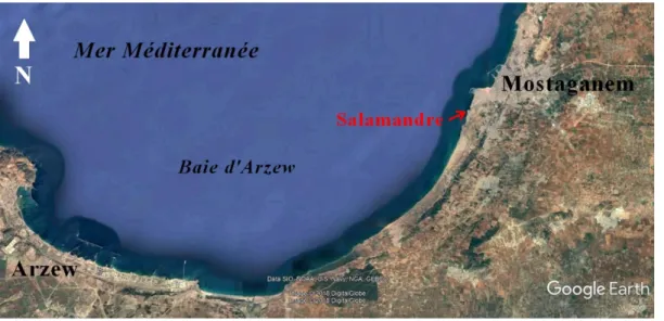 Figure 06 : Situations géographiques du site Salamandre(Source : Google earth). 
