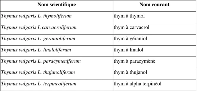 Tableau  02 . Les chémotypes du Thymus vulgaris (Andrew . ,2008) . 