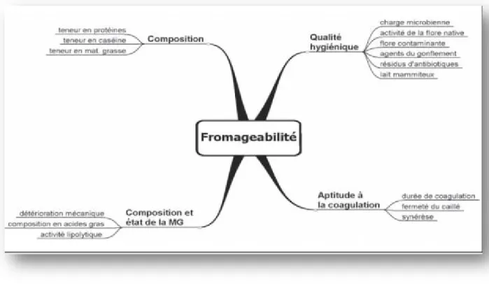 Figure 7. Critères de fromageabilité du lait (Jakob et Hänni, 2004).  