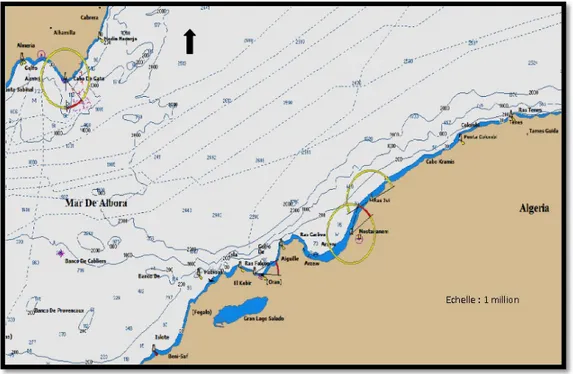Figure 06 : le littoral de Mostaganem (MaxSea-marine software V.10) 