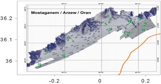 Figure 09: Représentation des isobathes de la région de Mostaganem  (N.O Viscon de d’EZA,  2003-2004)