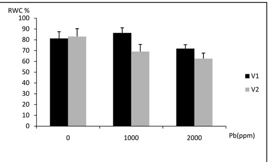 Figure n°16: l’évolution des moyennes (moyennes ± écart-type) de la RWC (%) pour V1 (sidi  Aïch)  et  V2  (Super  Aguadulce)  en  fonction  de  la  dose  du  plomb  (0