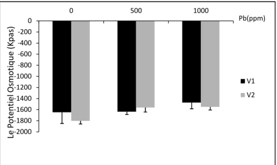 Figure n°17 : l’évolution des moyennes (moyennes ± écart-type) du potentiel osmotique (Kpas) de V1 (sidi Aïch) et V2 (Super Aguadulce) en fonction de la dose du plomb (0, 500 et 1000 ppm).