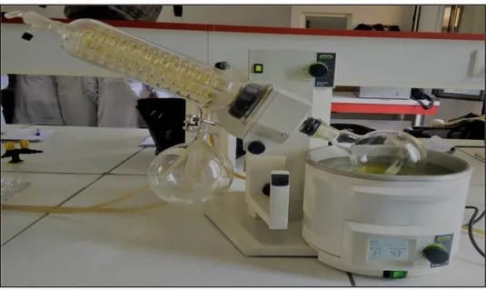 Figure 17 : Evaporation du filtrat obtenu 