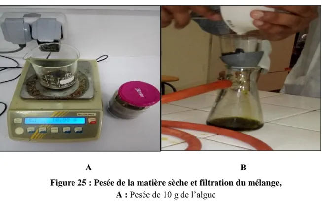 Figure 25 : Pesée de la matière sèche et filtration du mélange,  A : Pesée de 10 g de l’algue 