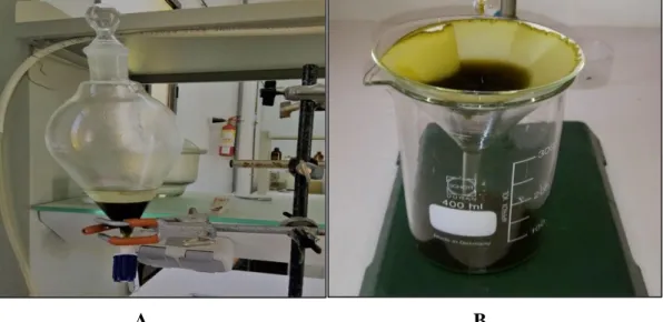 Figure 26 : Décantation et filtration de la phase inférieure,  A : La séparation des deux phases 