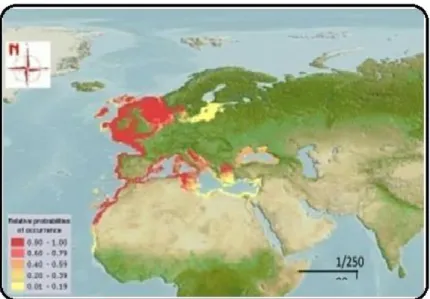 Figure 3 : Distribution géographique du rouget de roche  I-5- Dénomination 