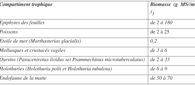 Tableau  1 :  Valeur de la  biomasse animale de chaque compartiment  trophique constituant l’écosystème à P