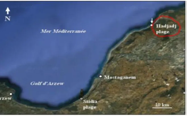 Fig 12 : Situation géographique de site étudié Hadjadj plage (Source : www.maps.google.com, 2018 ; modifiée)
