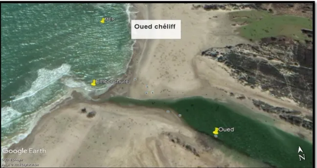 Figure 15 : Localisation des points de site de prélèvement oued Chéliff, l’embouchure, l’eau  de mer)
