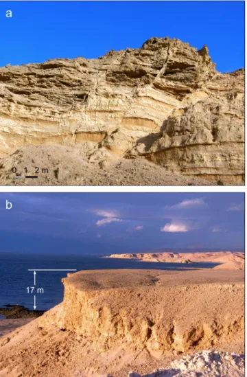 Figure 5.  Examples of the Plio-Pleistocene exposures described in this study near Haql, Saudi Arabia (station  6 in Figs 3 and 4)