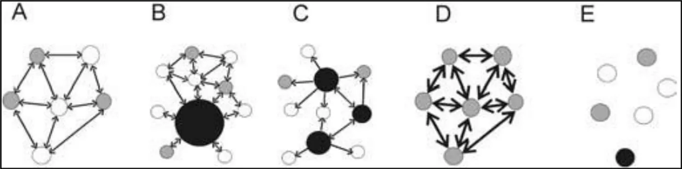 Figure  2:  Les  différentes  type  de  métapopulation  :  A,  classique  de  type  Levins;  B,  continent-îles;  ou  source-puits   C, puits intermédiaire); D, populations fragmentées; E, populations fragmentées en déséquilibre