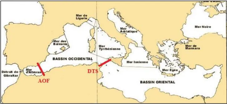 Figure 5 : Les  différentes barrières océaniques dans le sud de la mer Méditerranée (AOF : Front Almer-Oran;  
