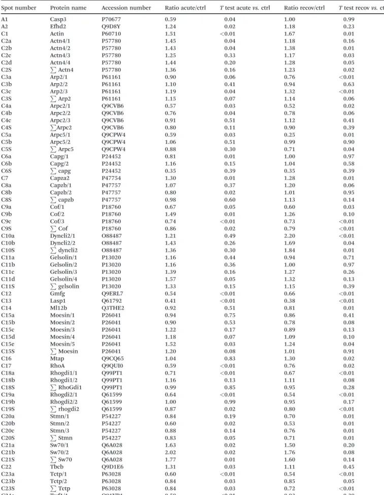 Table 2 Differentially-expressed proteins identified in the proteomic screen