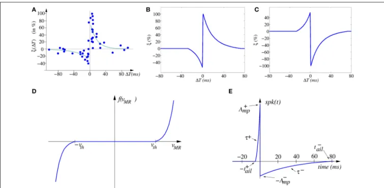 FIGURE 2 | (A) Experimentally measured STDP function ξ i (  T) on biological synapses (data from Bi and Poo, 1998, 2001)