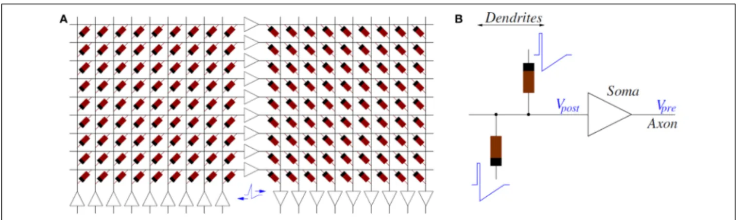 FIGURE 4 | (A) Example of Memristors and CMOS neuron circuits arrangement for achieving STDP learning: feed-forward neural system with 3 layers of neurons and two fully connecting synapse crossbars