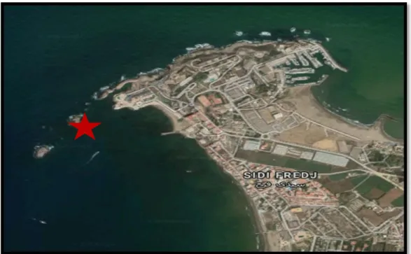 Fig 9: Le site d’échantillonnage de Sidi Fredj (Google Earth 2020). 