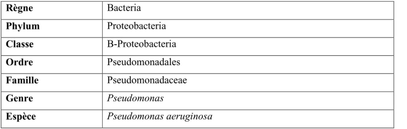 Tableau 6. La classification de Pseudomonas aeruginosa (Delarras, 2007).   