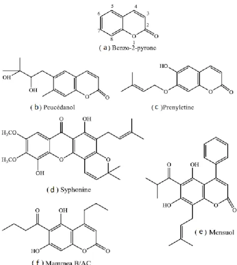 Figure 21 : Structure de base et les principaux types des coumarines                     (Sakagami  et al., 2005)