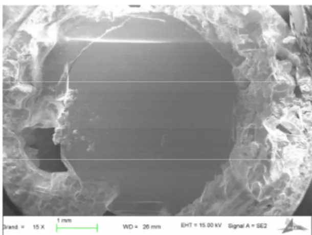 Fig. 3. Single crystal of HgBa 2 CuO 4+δ  of 4 × 5 mm 2  formed at the bottom of the crucible and surrounded by frozen flux (SEM)