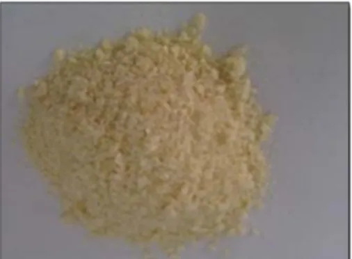 Figure 19 :(A) processus d’extraction de chitosane dans un bain d’huile  (B) l’aspect de chitosane