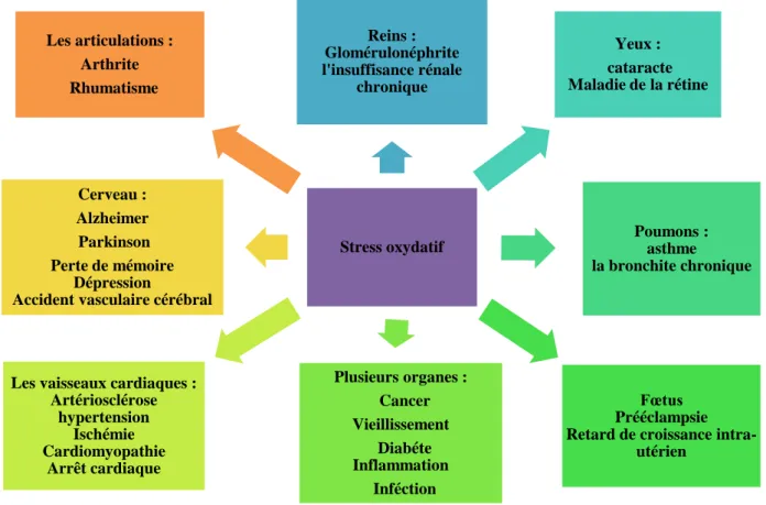 Figure 03 : Stress oxydatif et ses conséquences (Nagar et al., 2017)   I.2.6. Antioxydants 