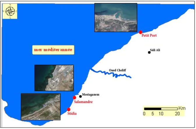Fig. 16 : Carte de la cote de Mostaganem avec les trois sites de notre échantillonnage (Google  map, 2014 ; modifiée)